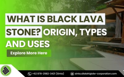 What is Black Lava Stone? Origin, Types, and Uses